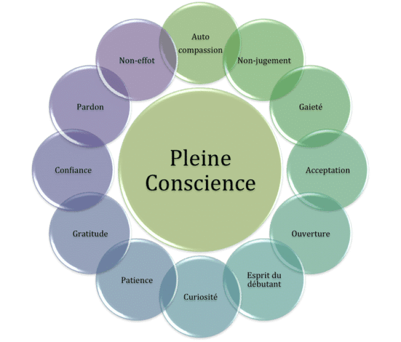 Understanding mindfulness and its impact on stress